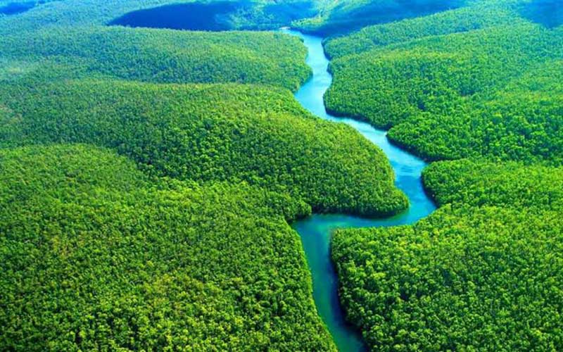 A amaZõnia tem proporçoes incríveis e uma biodiversidade imensa