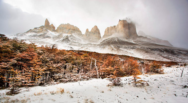 Conhecer o Vale do frances é uma das opções para se fazer durante o Trekking em Torres del Paine