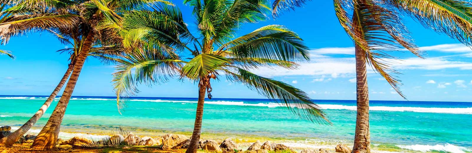 bons motivos colombia