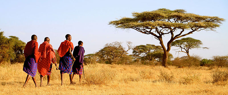 Safáris na África: no território do povo masai é possível fazer um safári
