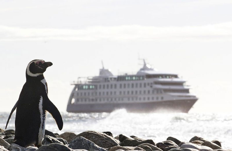 Cruzeiro na Patagônia: uma maneira incrível de desbravar esse território