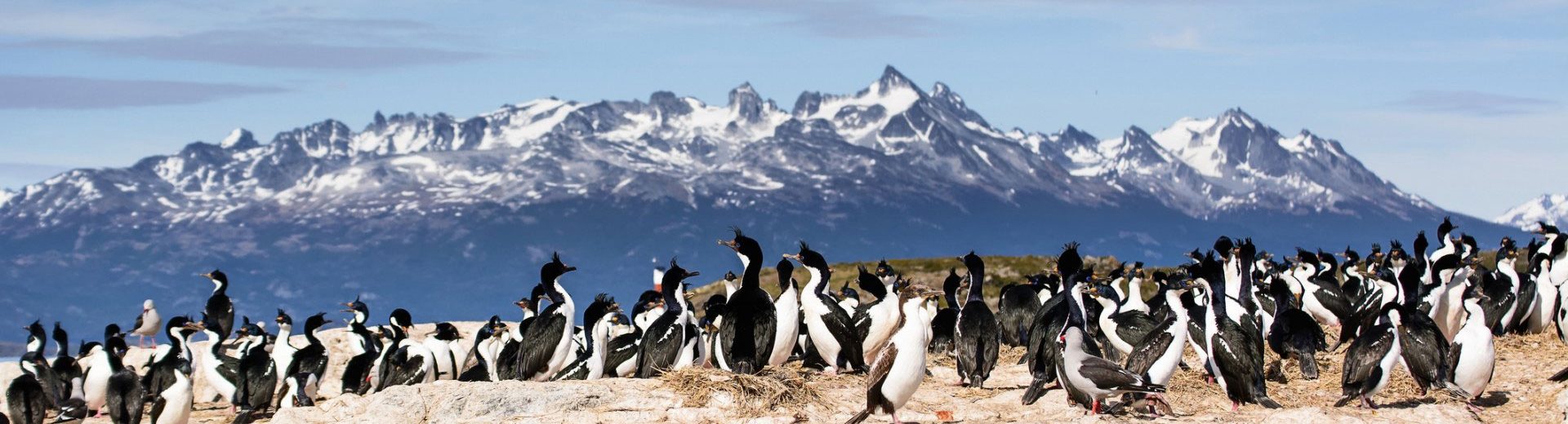 onde fica a península Valdéz? Um lugar fantástico na Patagônia