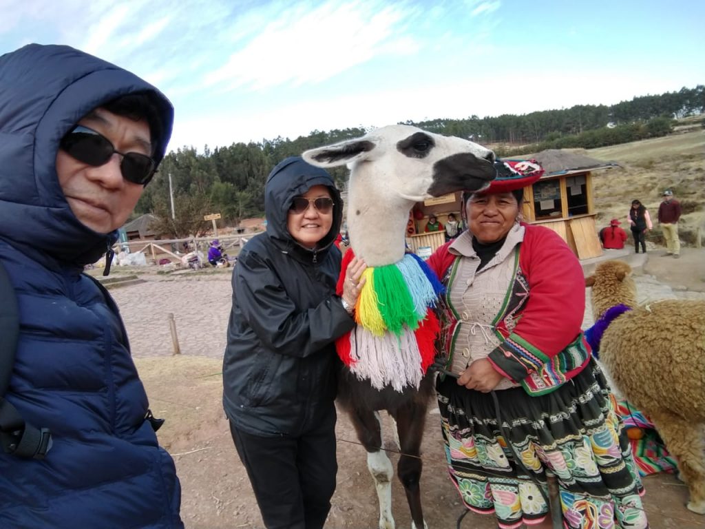 llama peru