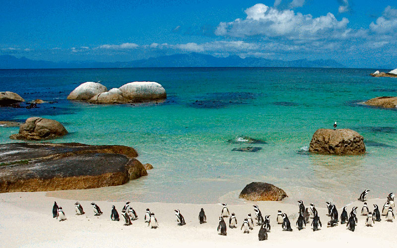 as praias da cidade são belíssimas