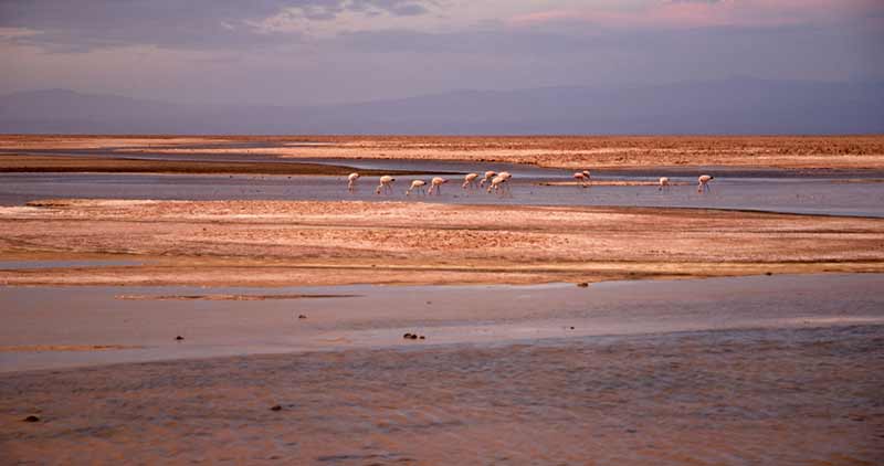 O deserto de atacama é fantástico para descobrir
