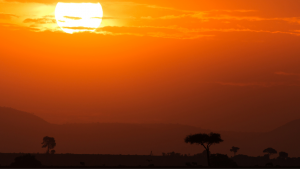 Viagem para Maasai Mara